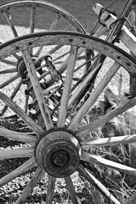 _MG_13516bw.jpg