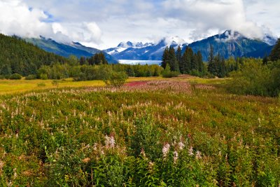 _MG_16206.jpg