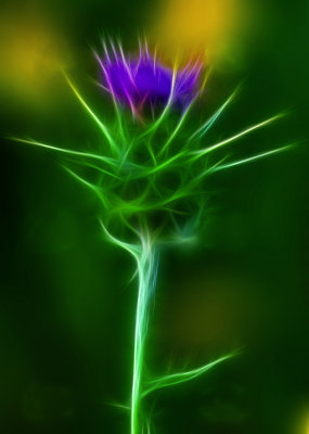 g1/74/883174/3/113131058.ts3Ad1a7.jpg