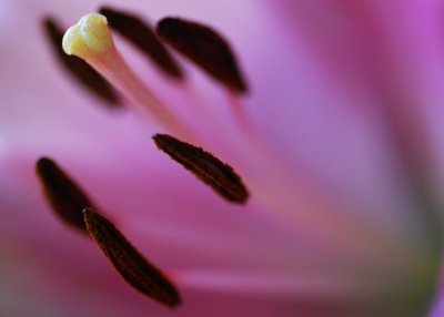 g1/74/883174/3/118386965.d8XStyzr.jpg
