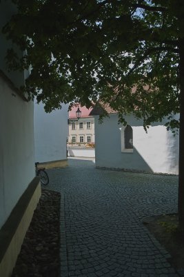SDIM8679.jpg