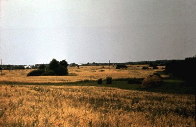 dup-3.jpg