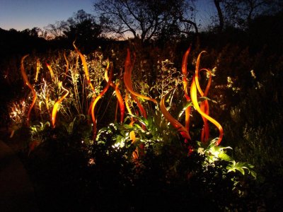 Chihuly Art at Cheekwood