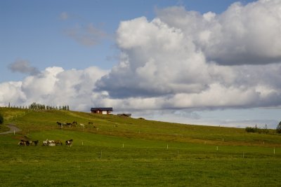 IMG_4501 2.jpg
