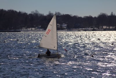 IMG_0240.JPG