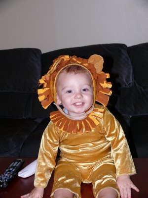 Our little Lion