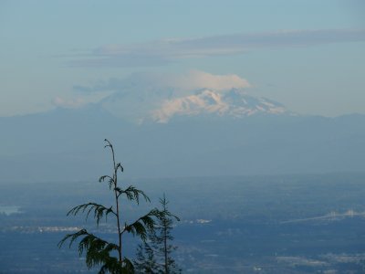 View of Mt. Baker