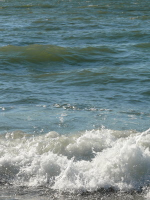 Waves