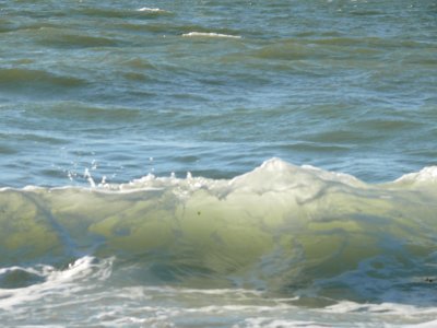Waves