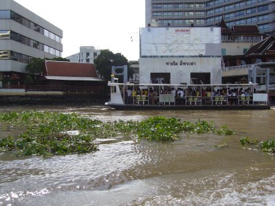 River Cruise