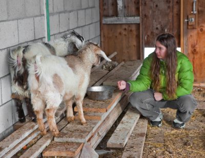 A girl and her goats