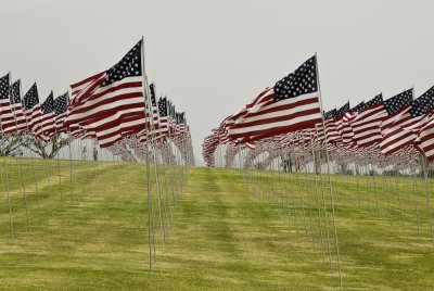 _DSC8274.jpg
