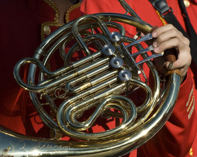 20090131-_DSC0233-1.jpg