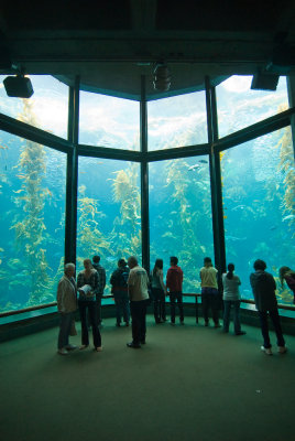 Monterey