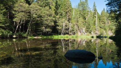 South Fork Merced River behind campsite in Wawona