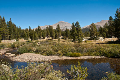 Dana Fork towards Mt. Dana