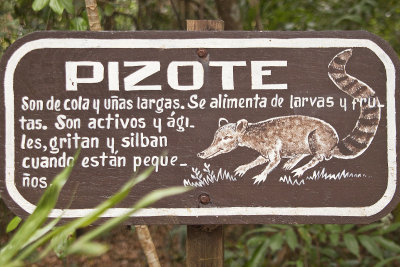 Guatemala-0179.jpg
