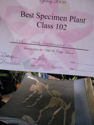 and, the Best Specimen Plant trophy