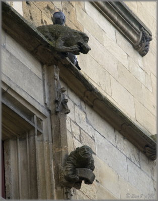 Sarlat
