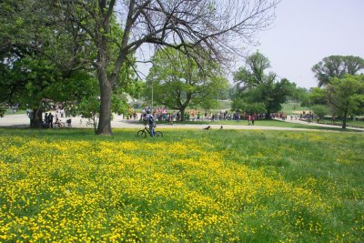 GS8P0442small.jpg
