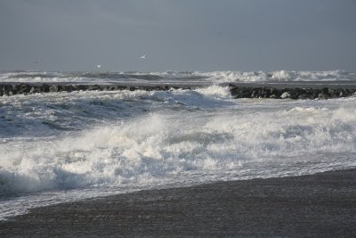 Storm ved Hvide Sande