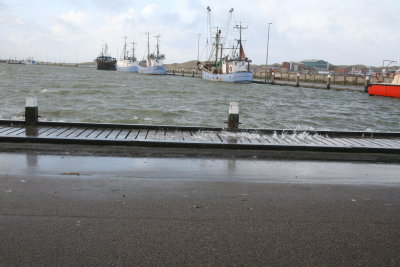 Storm ved Hvide Sande