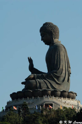 Po Lin Monastery (寶蓮寺)