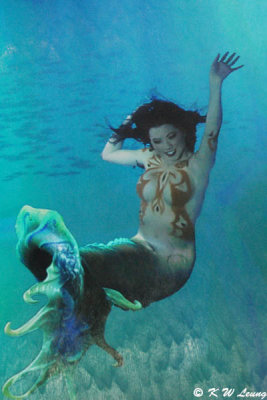 Mermaid @ City of Dreams DSC_4248