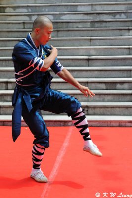 Shaolin Kung Ku Show (DSC_2468)