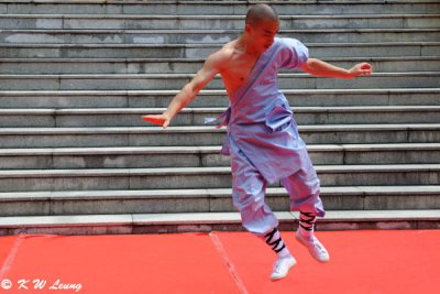 Shaolin Kung Ku Show (DSC_2534)