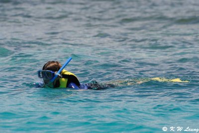 Snorkeling (DSC_4304)