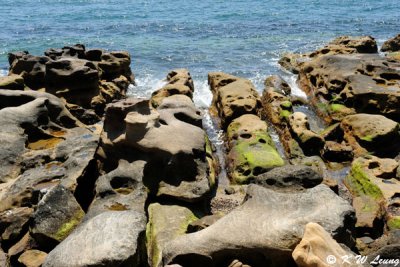 Rocks @ Mrs Macquaries Point (DSC_3783)