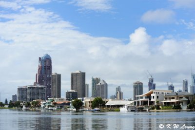 Surfers Paradise (DSC_4439)