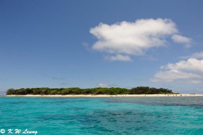 Lady Musgrave Island (DSC_4308)