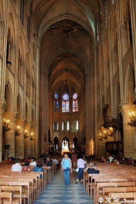 Notre Dame Cathedral 07