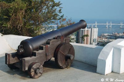 Cannon DSC_1376