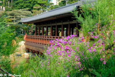 Nan Lian Garden 11