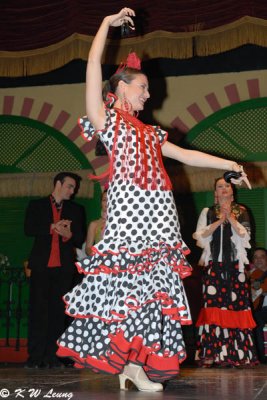 Flamenco (DSC_4820)