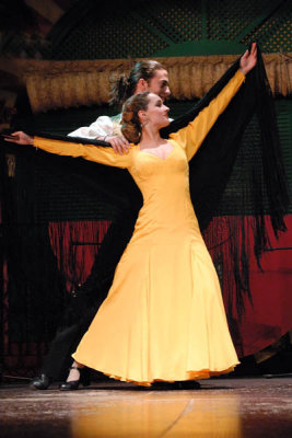 Flamenco (DSC_4798)