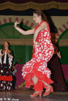 Flamenco (DSC_4826)