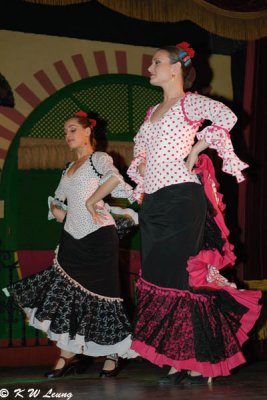 Flamenco (DSC_4748)