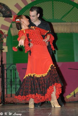 Flamenco (DSC_4752)