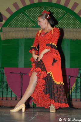 Flamenco (DSC_4751)