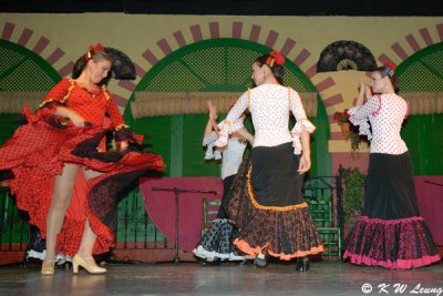 Flamenco (DSC_4745)