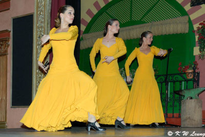 Flamenco (DSC_4792)