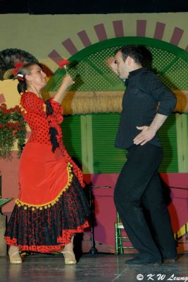 Flamenco (DSC_4755)