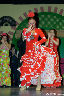 Flamenco (DSC_4814)