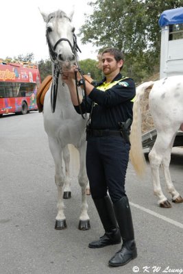 Mounted police (DSC_4996)