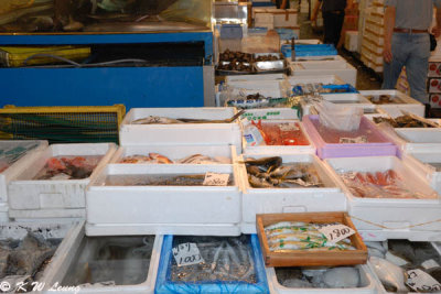 Tsukiji Market DSC_7793