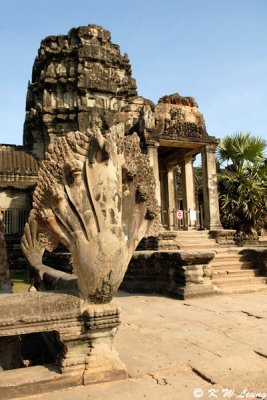 Ankor Wat